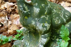 p1010931