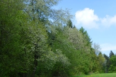 p1010939