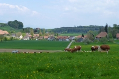 p1010948