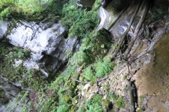 p1020389