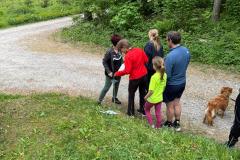 bild_6
