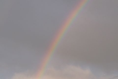 P1130486